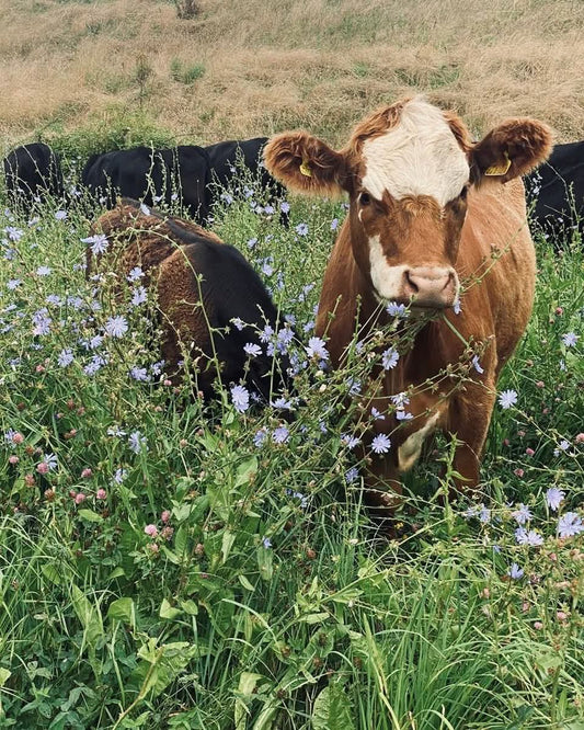 New role opening - share farmer