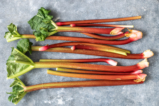 Rhubarb Ketchup