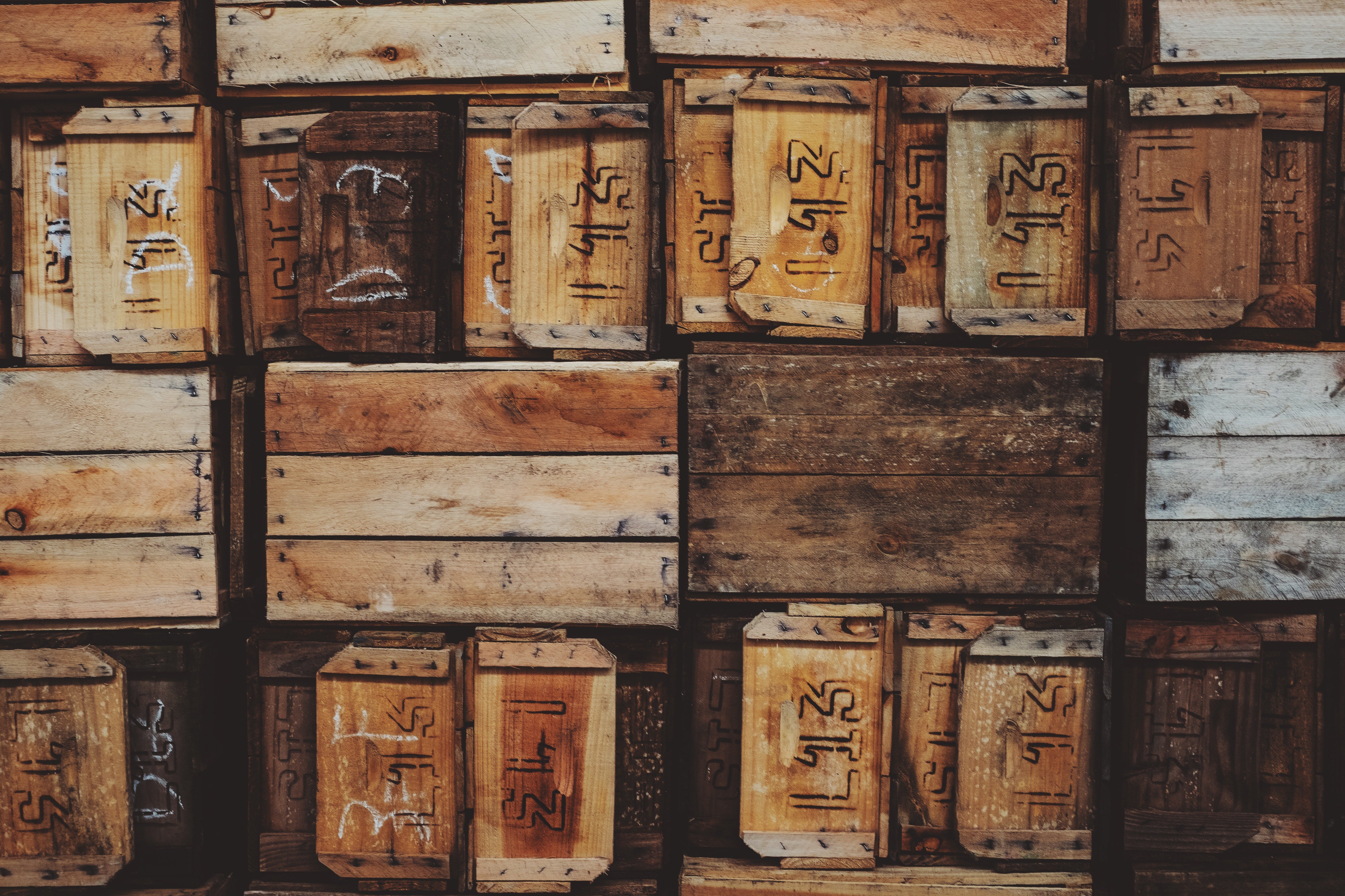 Regenerative Meat Boxes | Regenerative, Ethical & Sustainable Meat ...