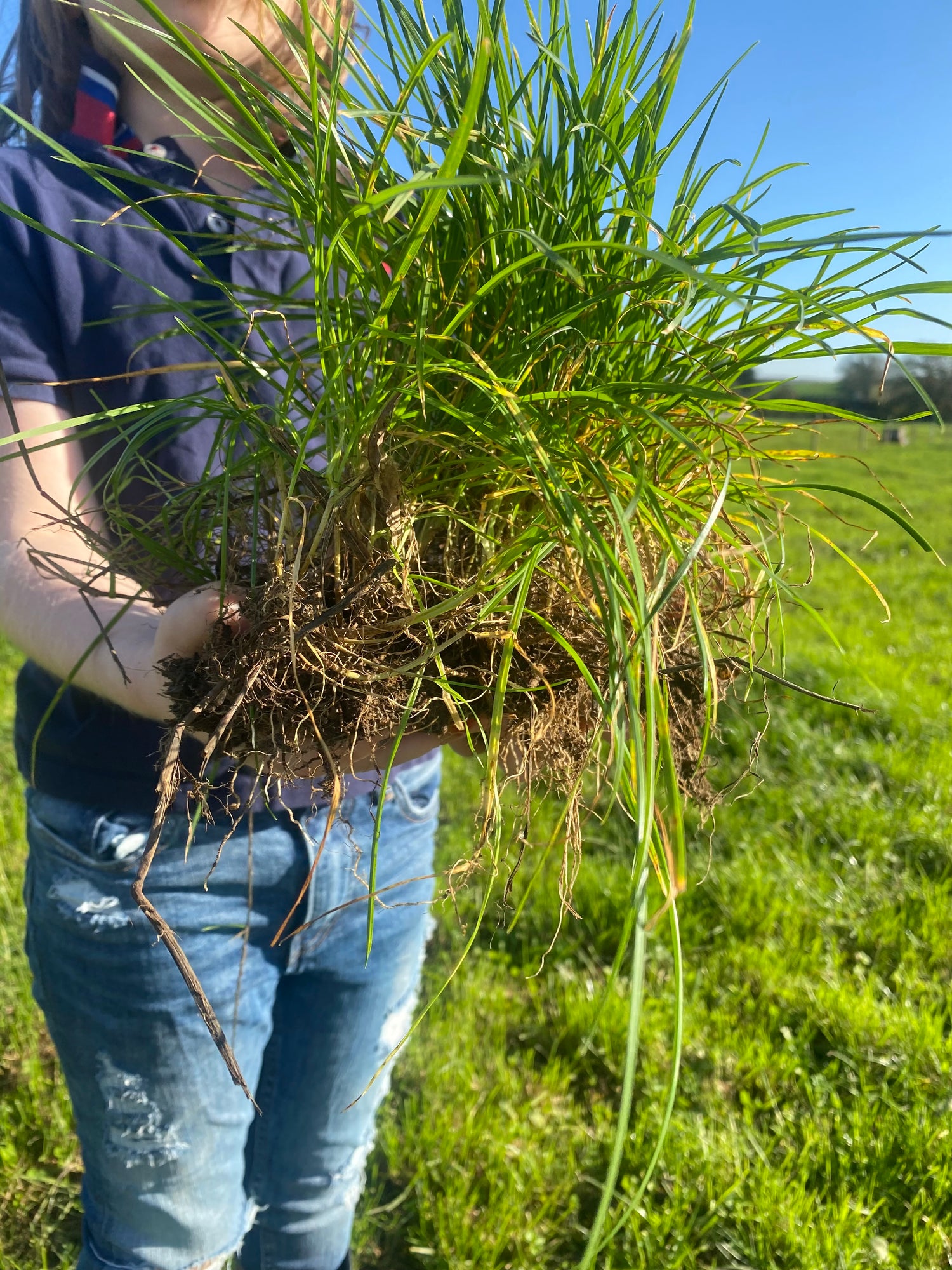 Our Farm | Regenerative Agriculture | Reverse Climate Change | Healthy ...