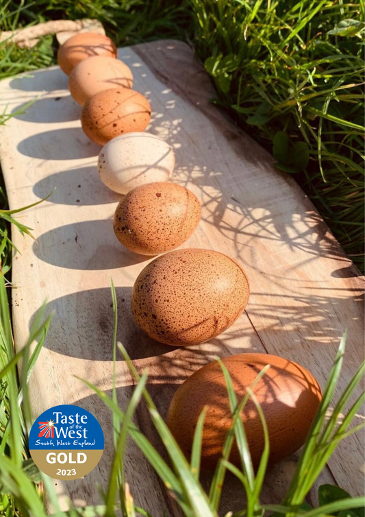 Somerset Hens Eggs - Pasture Reared | Free Range - Taste of the West Gold Award Winner 2023 - ONLY AVAILABLE for COLLECTION (from our farm) or LOCAL DELIVERY (within 10 miles of our farm)