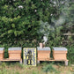 Somerset Honey